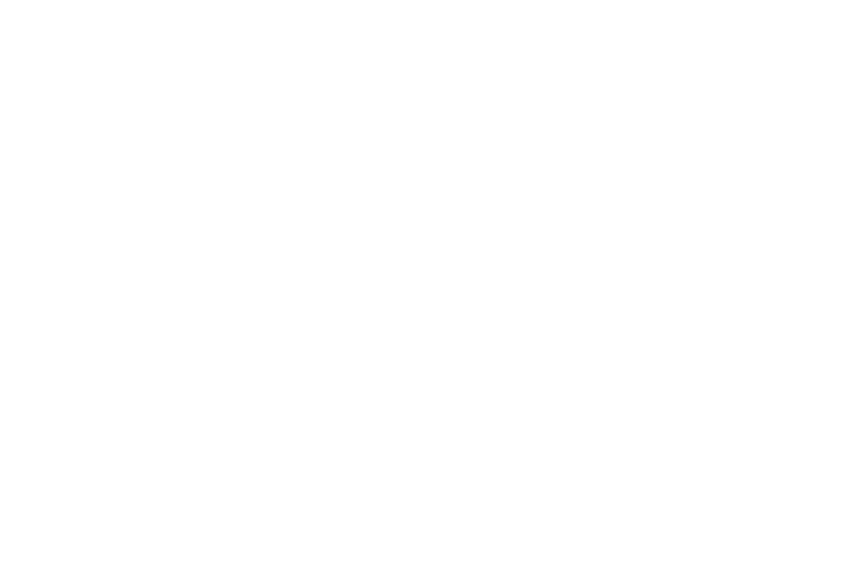Revolut